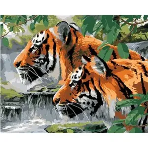 Malování podle čísel - Vyhlížející tygři u řeky (Howard Robinson)