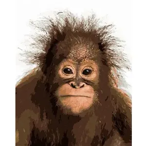 Mladý orangutan, 80×100 cm, vypnuté plátno na rám