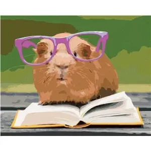 Morče v brýlích čte knížku, 40×50 cm, bez rámu a bez vypnutí plátna
