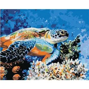 Mořská želva, 80×100 cm, vypnuté plátno na rám