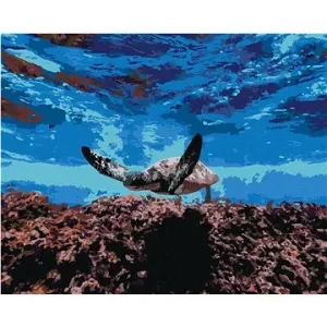 Mořská želva pod hladinou, 80×100 cm, vypnuté plátno na rám