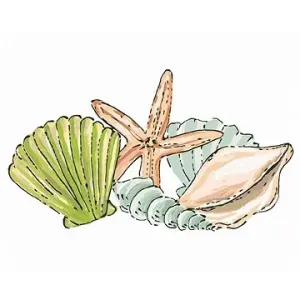 Mořske mušle a hvězdice (Haley Bush), 40×50 cm, bez rámu a bez vypnutí plátna