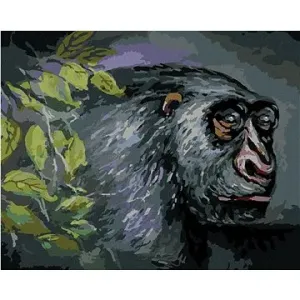 Opice, 40×50 cm, bez rámu a bez vypnutí plátna