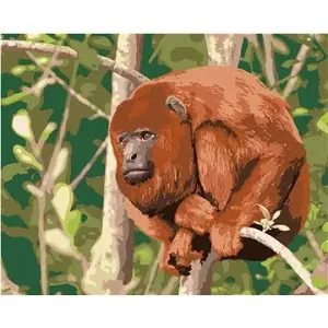 Opice Mantled odpočívající na stromě, 80×100 cm, vypnuté plátno na rám