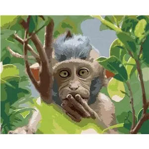 Opice v přírodním lese, 40×50 cm, bez rámu a bez vypnutí plátna