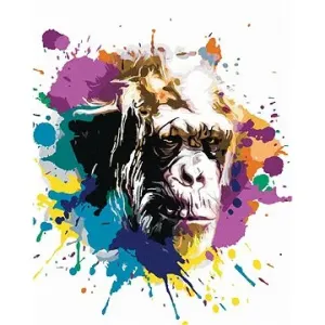 Opičí hlava na barevném pozadí, 40×50 cm, bez rámu a bez vypnutí plátna