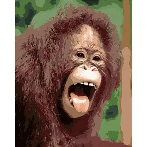 Orangutan s otevřenou tlamou, 40×50 cm, bez rámu a bez vypnutí plátna