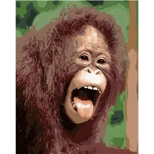 Orangutan s otevřenou tlamou