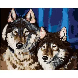 Pár vlků, 80×100 cm, vypnuté plátno na rám
