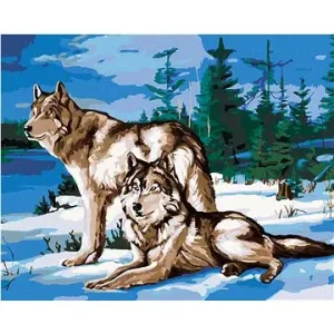 Pár vlků u lesa, 80×100 cm, bez rámu a bez vypnutí plátna