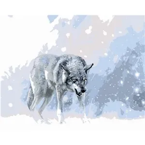 Šedý vlk v zimní krajině