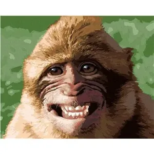 Smějící se opice, 40×50 cm, bez rámu a bez vypnutí plátna