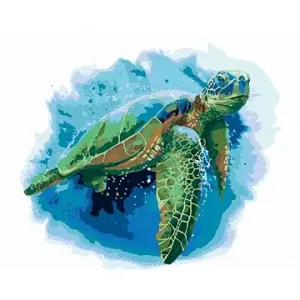 Velká mořská želva na modrém pozadí, 80×100 cm, vypnuté plátno na rám