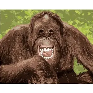 Vysmátý orangutan, 80×100 cm, vypnuté plátno na rám