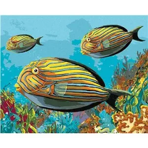 Žluté rybky, 40×50 cm, bez rámu a bez vypnutí plátna